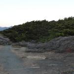 Cambria_0022 (November 02, 2013)